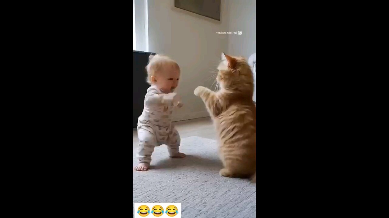 Baby and cat fighting