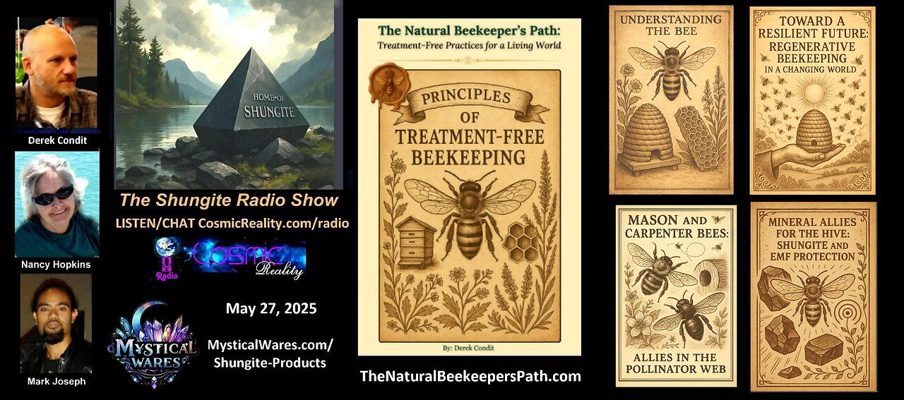 SHUNGITE REALITY 5/27/25 - The Natural Beekeepers Path
