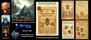 SHUNGITE REALITY 5/27/25 - The Natural Beekeepers Path