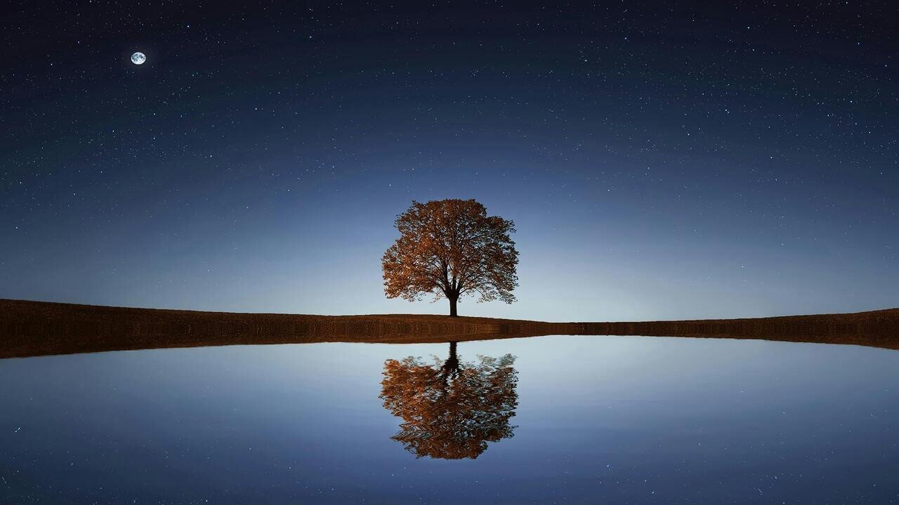Serene White Noise (Black Screen) | Calm Sound for Relaxation, Focus, and Sleep
