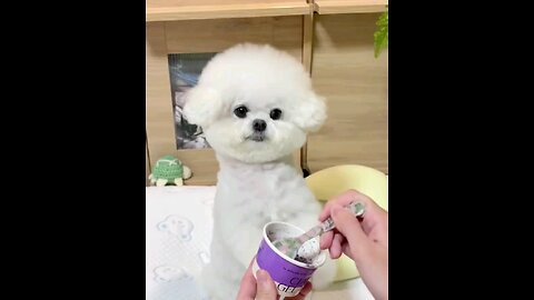 लवली विडिओ