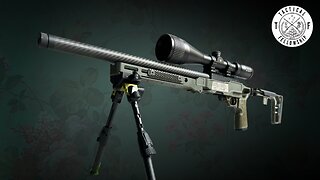 Why You SHOULD Buy A Ruger 10/22 | Grey Birch Volquartsen Build