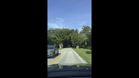Tunnel Of Trees! | 4K