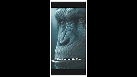 Man, the world and nature