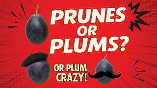 Prune Plums Explained: Dan’s Top 3 Picks
