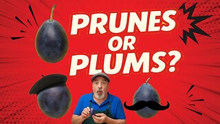 Prune Plums Explained: Dan’s Top 3 Picks
