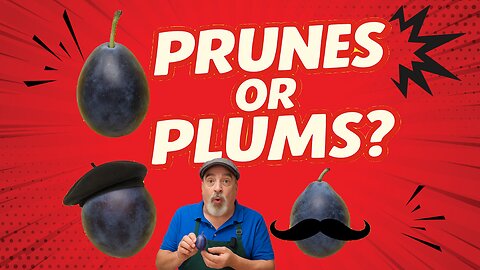 Prune Plums Explained: Dan’s Top 3 Picks