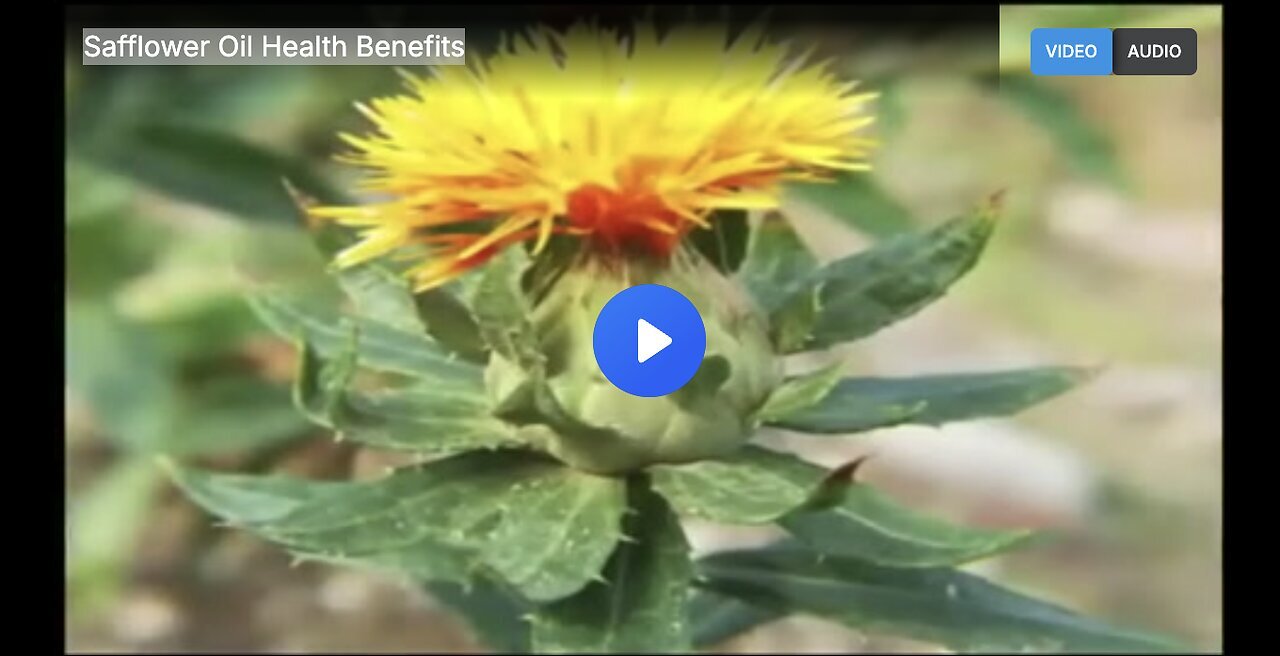 "Exploring the Health Benefits of Safflower Oil"