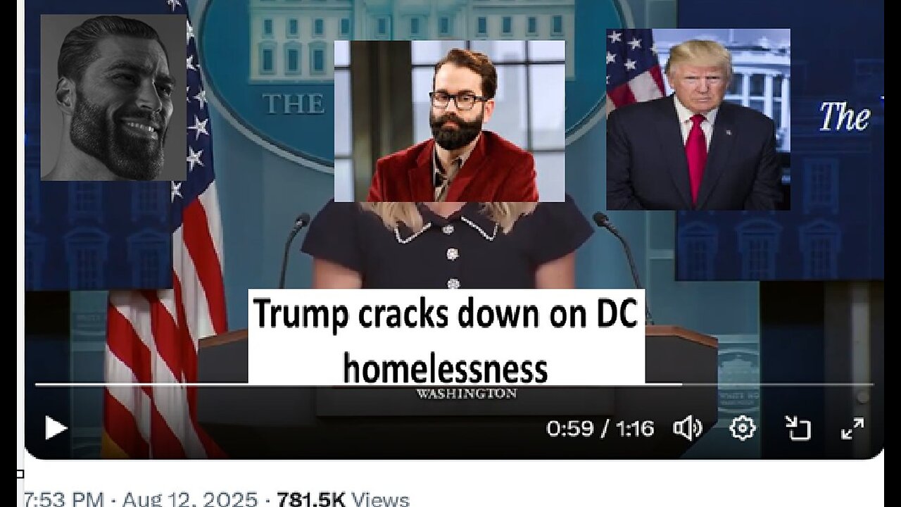 Matt Walsh on Trump cracking down on DC homelessness