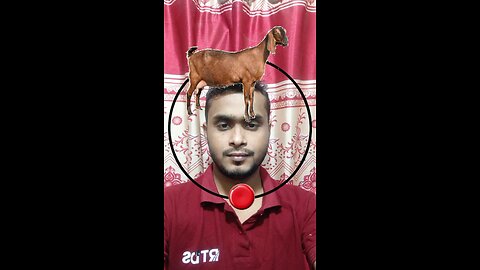 ছাগলটির জোড়া লাগিয়ে দেখান ৩৩ #reels #puzzle #challenge #tending #foryou