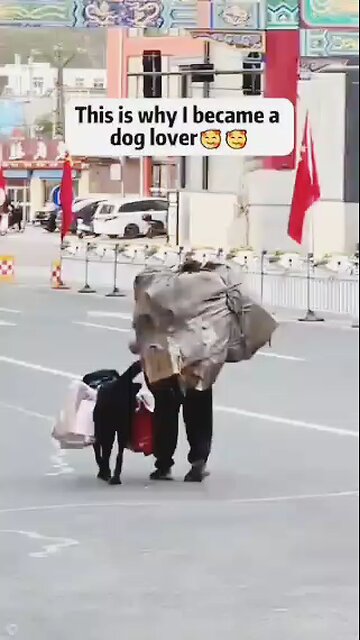 this is way why I became a dog lover