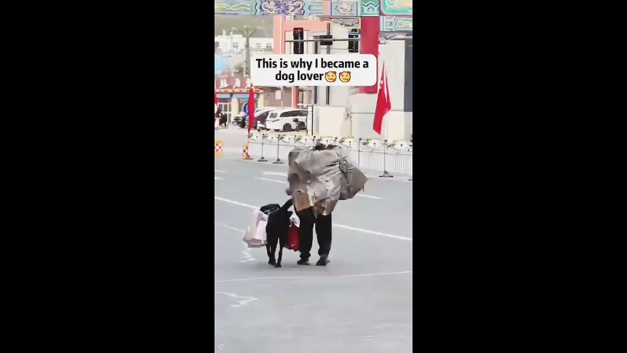 this is way why I became a dog lover
