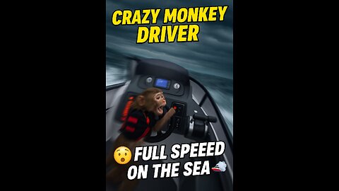 Crazy Monkey Driving a Speedboat at Full Speed! 🚤🐒💨”