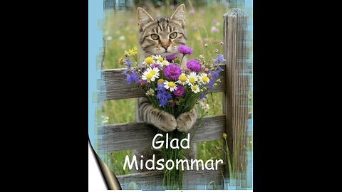 Denna video tillägnar jag Stefans kvinna Linda