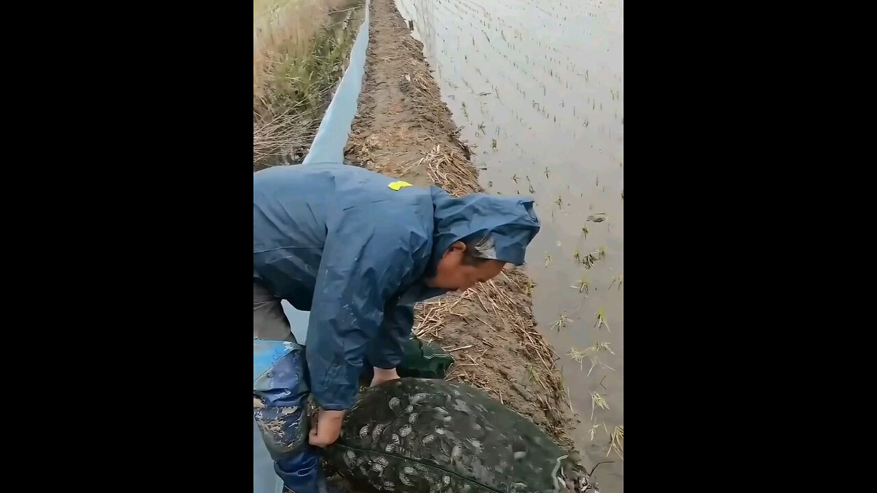 😶‍🌫️