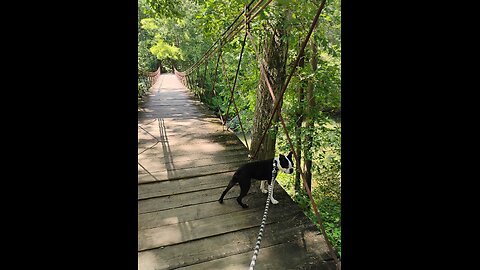 Baxter, taking me,for a walk