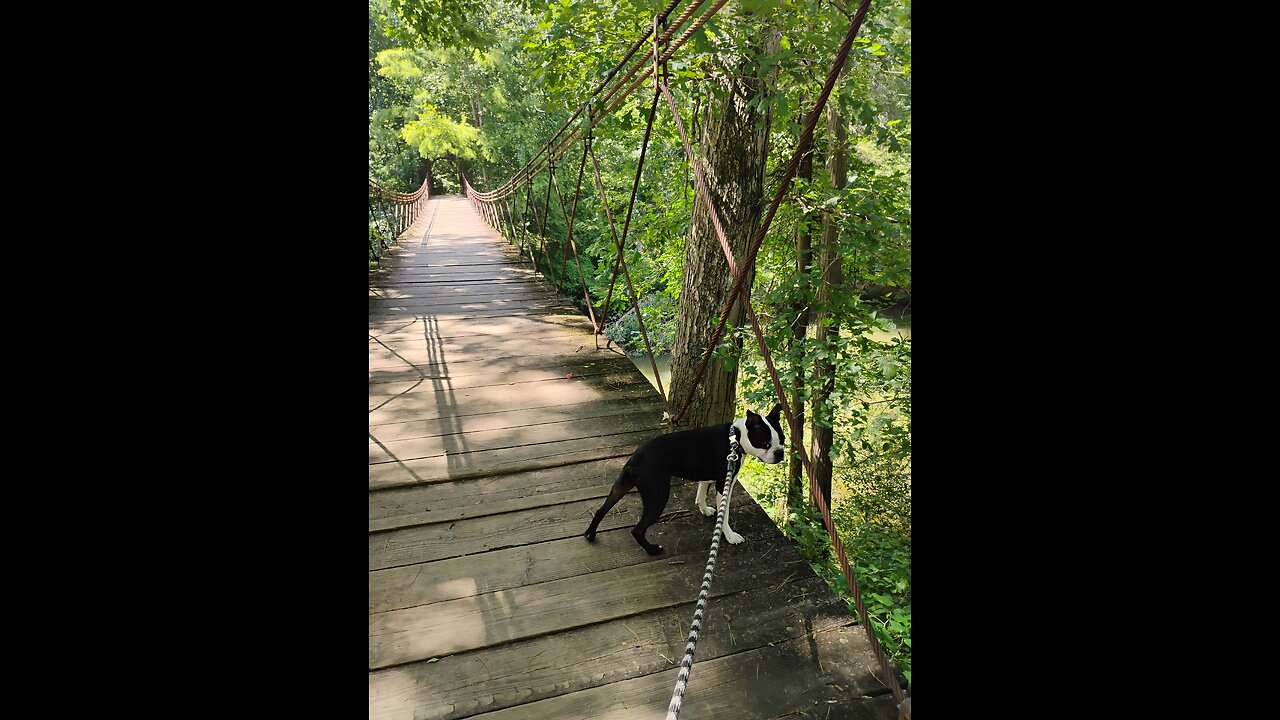 Baxter, taking me,for a walk