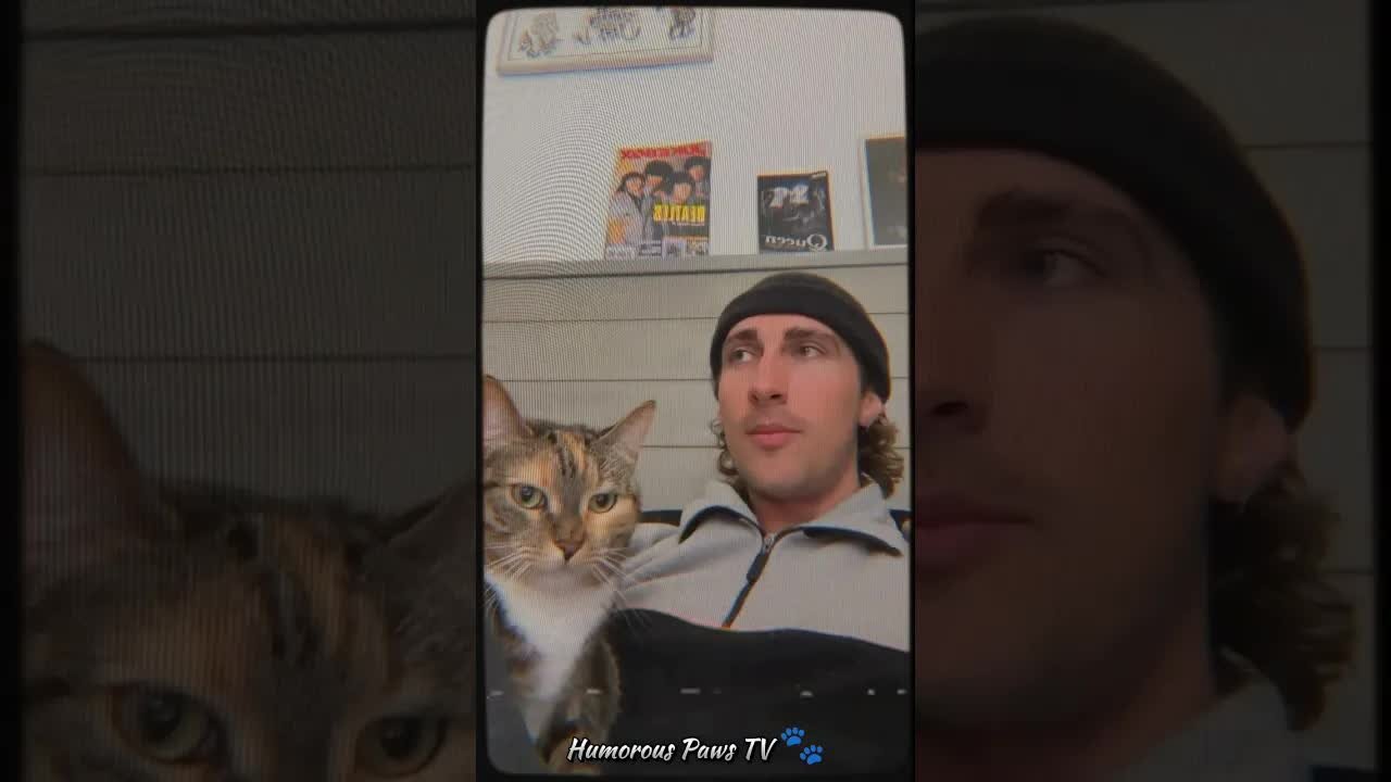 Funny animals 2024😂- Funniest Cats and Dogs Video😹🐶