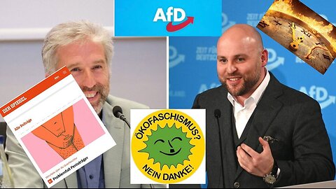 Frohnmaier Vs. Plmer, Grüne im NRW-Wahlkampf, Spiegel :Problem sind Penisträger.
