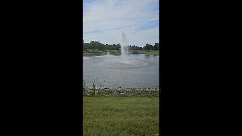 My Peaceful Place - The State of Illinois Just Did Something Interesting for Me