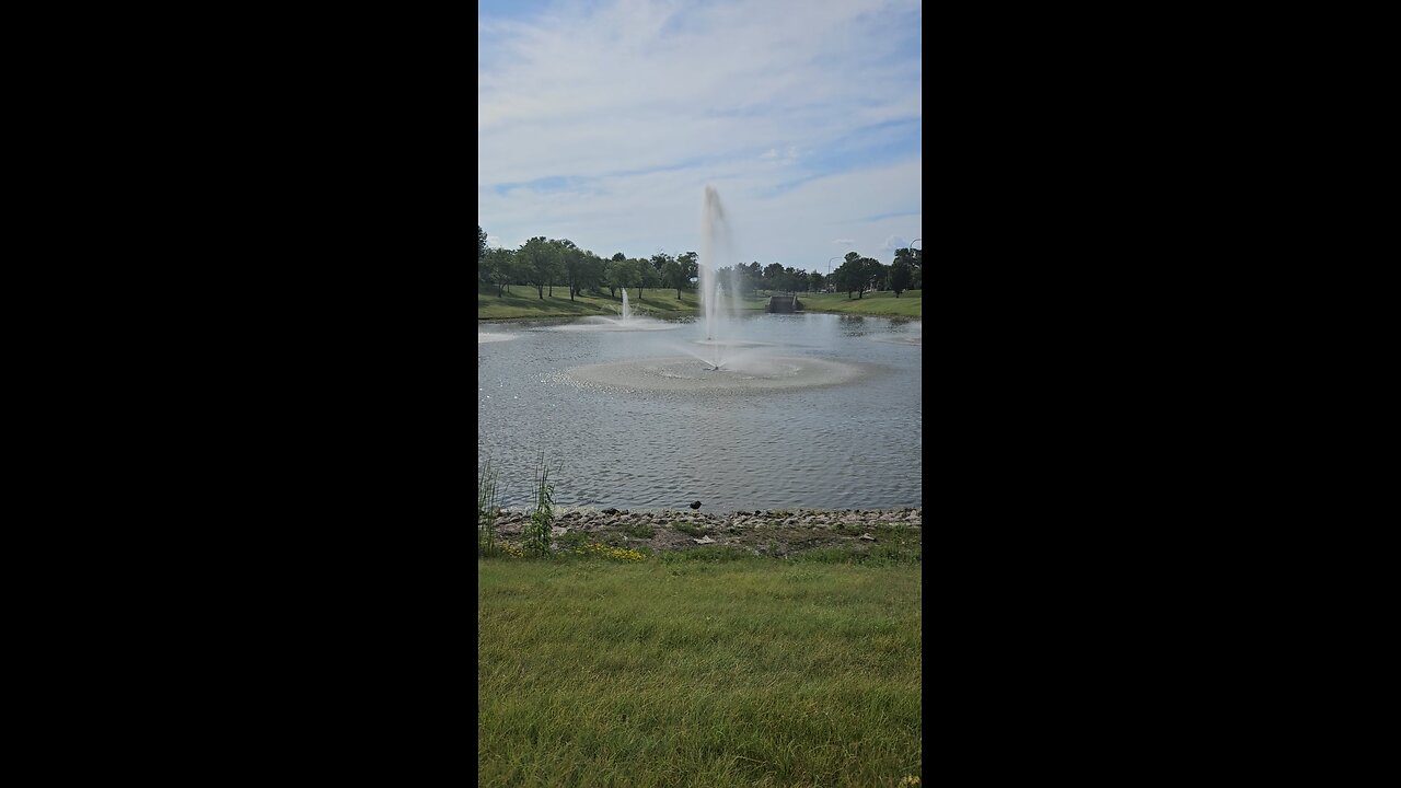 My Peaceful Place - The State of Illinois Just Did Something Interesting for Me