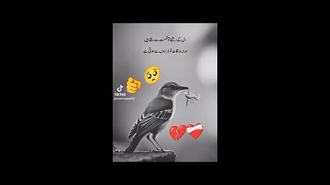 New song wow beautiful song