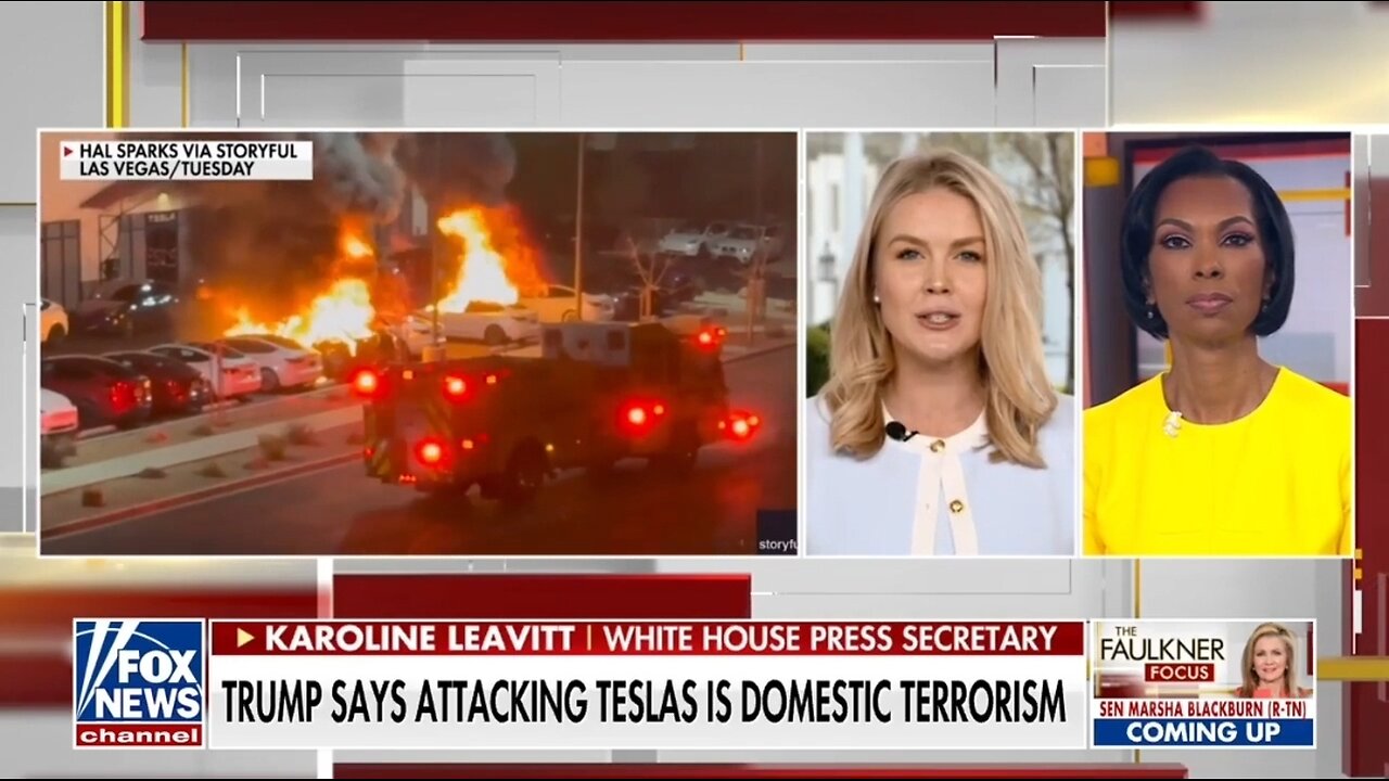 Karoline Leavitt: Trump Will Restore Law and Order
