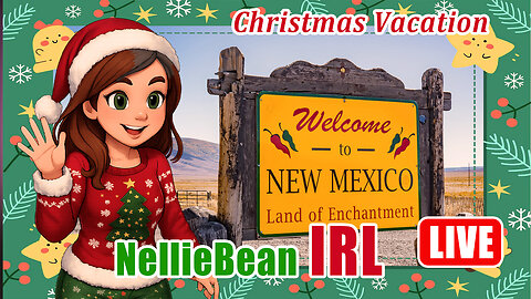 🎄IRL - LA to New Mexico - Christmas Vacation p2🎄