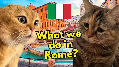 What to do when you are in Rome? (Ep.3) (Cat Memes)