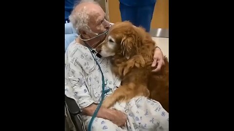 When two old guys mean the world to each other..🐕🐾🥺❤️😭