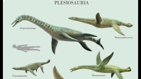 U R cooler than water dragons