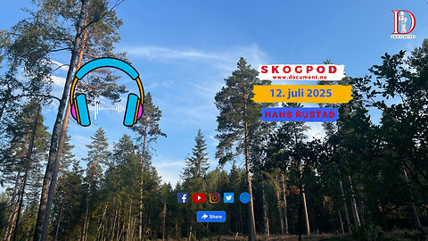 Skogpod 12. juli 2025