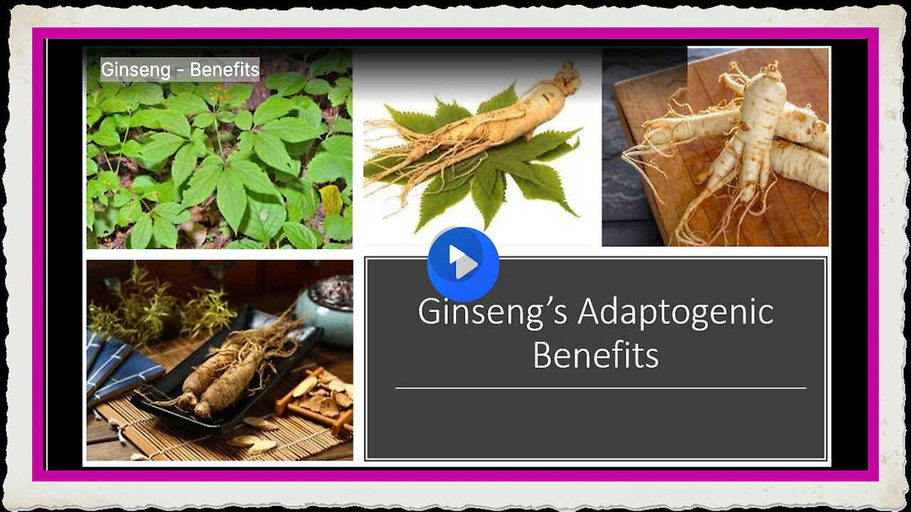 Ginseng - Benefits