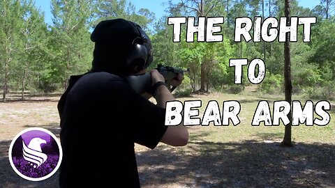 The Right to Bear Arms