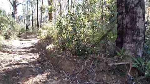 Hiking and creepy noises