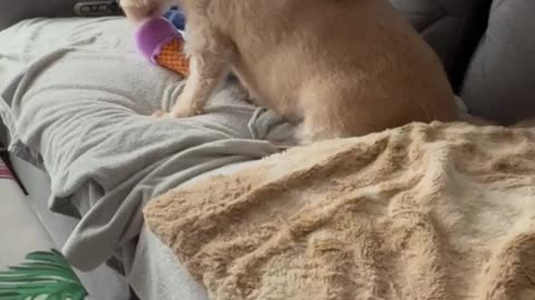 Christmas is officially over!