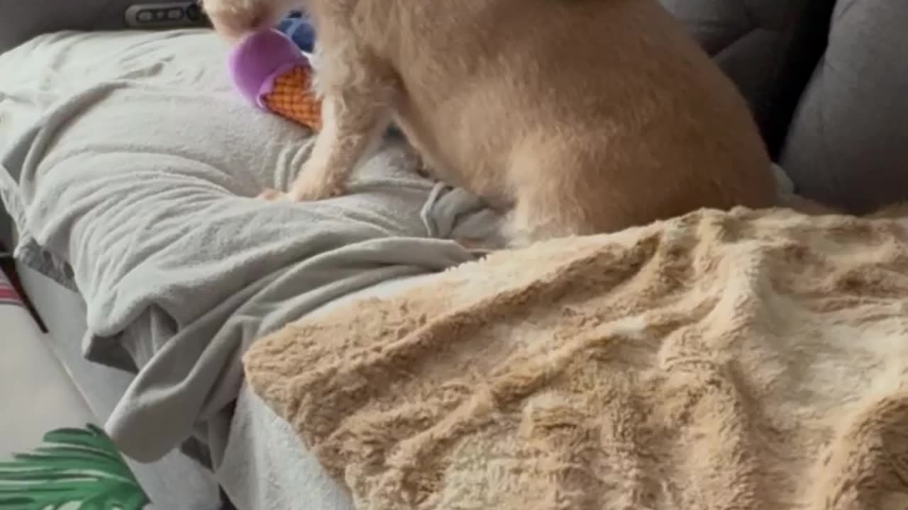 Christmas is officially over!