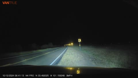 Car Swerves Around Deer Barely Clipping It's Antlers