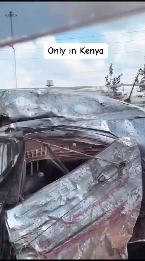 You can see this in Africa.😁