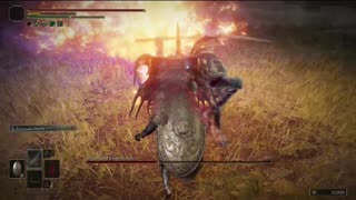 Elden Ring NG+1 | Bloodhound Knight Darriwil boss fight solo #eldenring #eldenringbosses #shorts