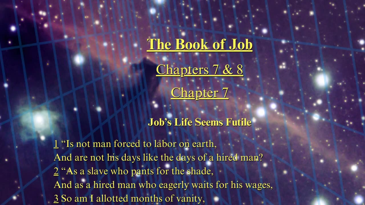 Christian Meme Video: Job Chapters 7 and 8 (03/30/2025)