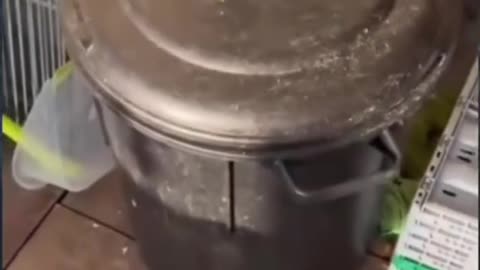 Funny Fails