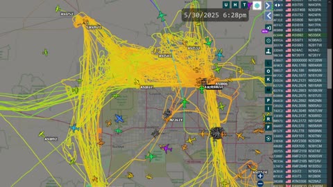 Bird Mafia Utah China afternoon - May 30th 2025 - no audio -