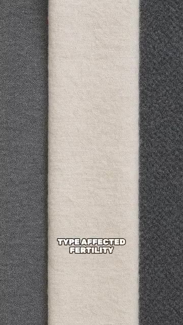 “Yoga leggings have been found to have high concentrations of endocrine disrupting chemicals in the groin area.”