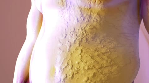 How Food Turns Into Poop (3D Animation)