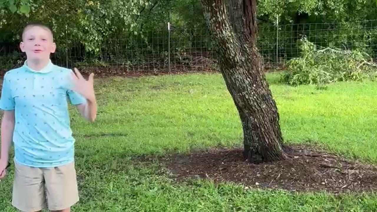 Loud Crack As Son Whips Tree