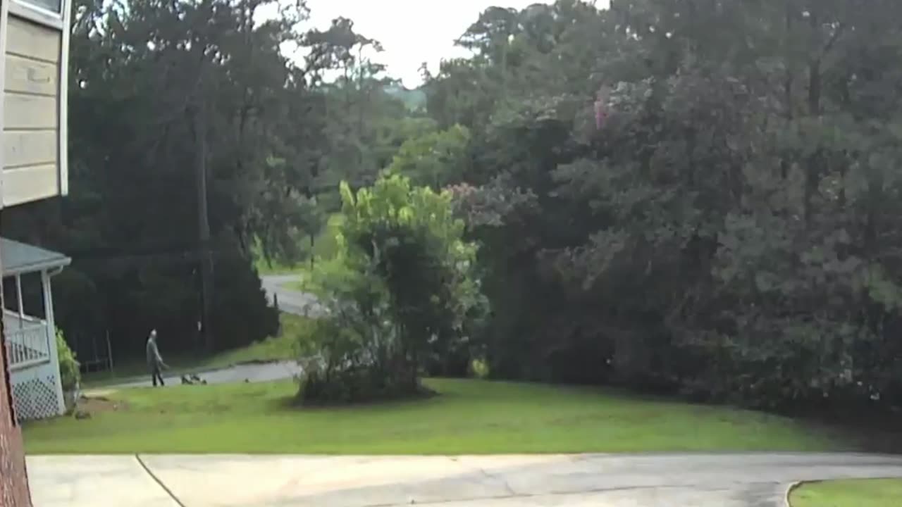 *FLASH* Lawn Maintenance
