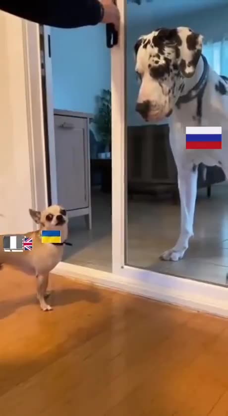 The EU - Russia Standoff Explained