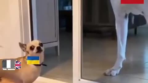 The EU - Russia Standoff Explained