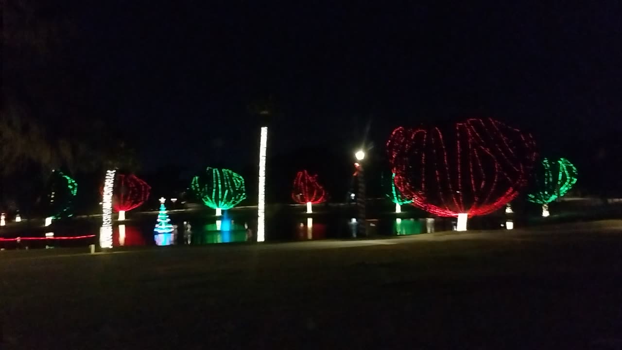 Lake Lillian Holiday decorations